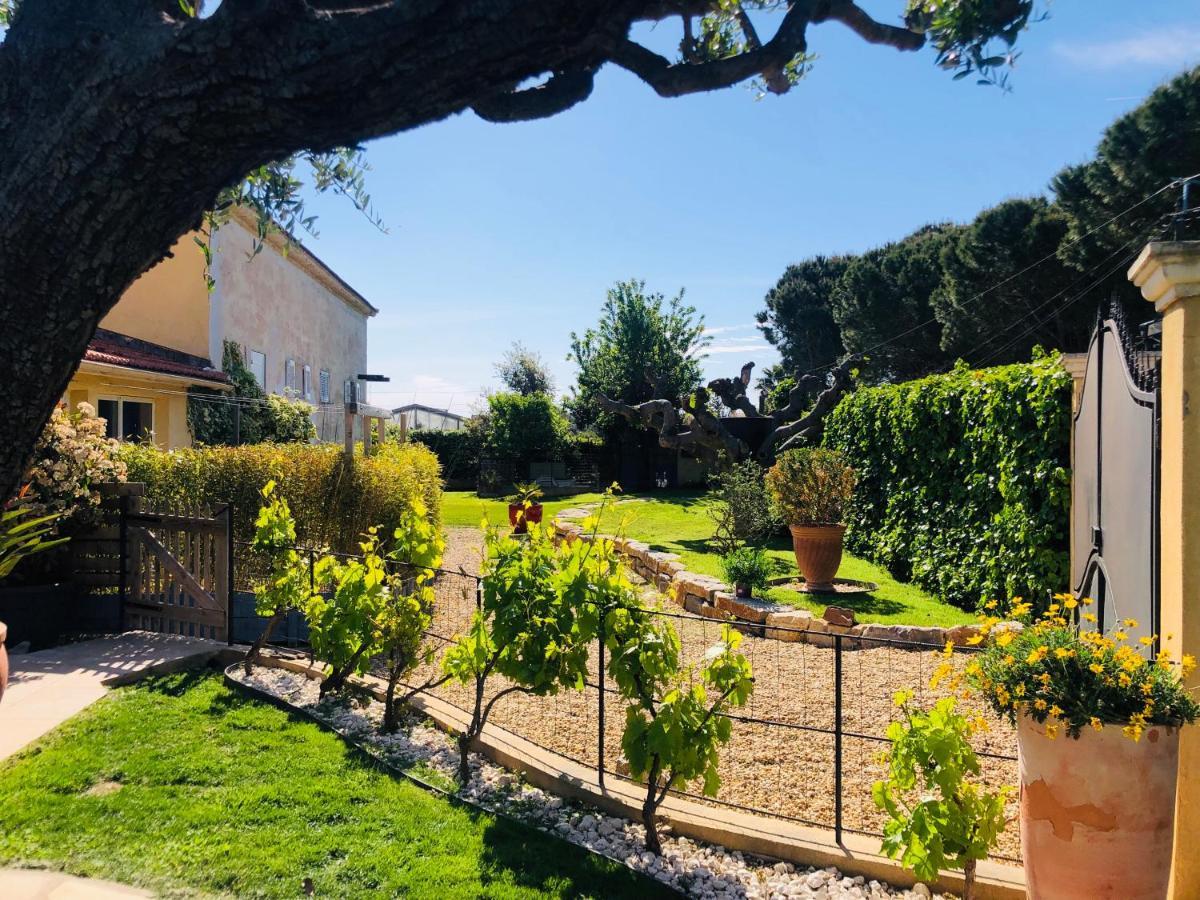 Douceur Du Sud, Entre Mer Et Campagne Hyeres Exterior photo